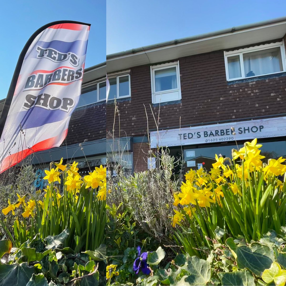 Teds barber shop (@tedsshop) on Twitter photo Spring has sprung <a href="/TedsShop/">Teds barber shop</a> <a href="/ScalpGenesis/">Scalp Genesis</a> time to get out and get cracking. Hair cut time #poynton Spring has sprung <a href="/TedsShop/">Teds barber shop</a> <a href="/ScalpGenesis/">Scalp Genesis</a> time to get out and get cracking. Hair cut time #poynton