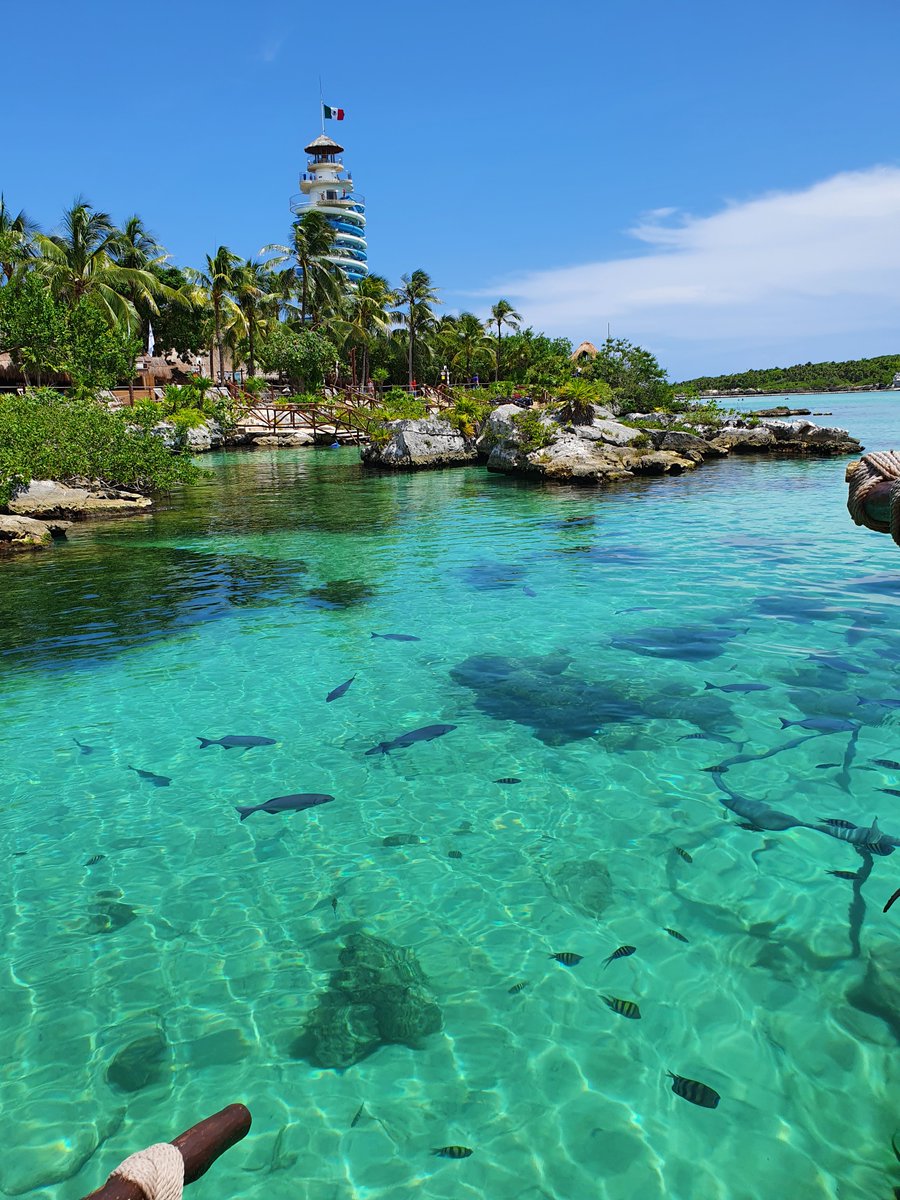 XelHaPark's tweet photo. .                   💧       ✨
          🤿                             🐠
                      Urgen
       🍹        vacaciones        🍹
                    en #XelHá
          🐠                             🤿
                    ✨       🕯 https://t.co/FJHkQkYhx8
