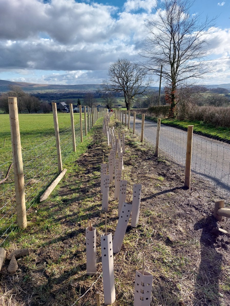 Pendle Hill Landscape Partnership tweet media