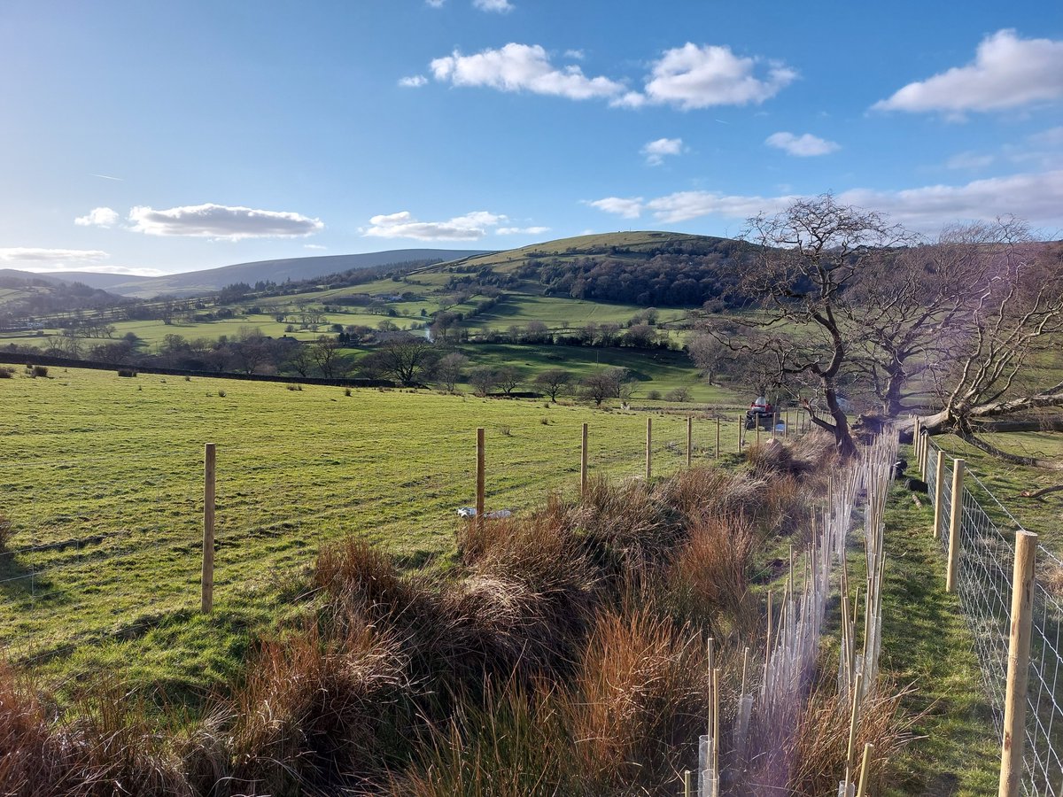 A weekend of hedge planting! Big thanks to over 20 Police Cadets from Hyndburn and Burnley who helped plant up a new hedgerow in West Bradford and our volunteers who did the same over in Roughlee. A great new habitat! #volunteering