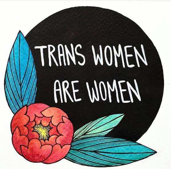 TranSinfancia's tweet photo. La transfobia, es consecuencia de una sociedad llena de estereotipos machistas que históricamente ha oprimido y menospreciado la feminidad.
Las mujeres trans son mujeres y también su lucha es feminista.
#8M #RompamosElPacto #MujeresYPunto https://t.co/tjdaAfeNPx