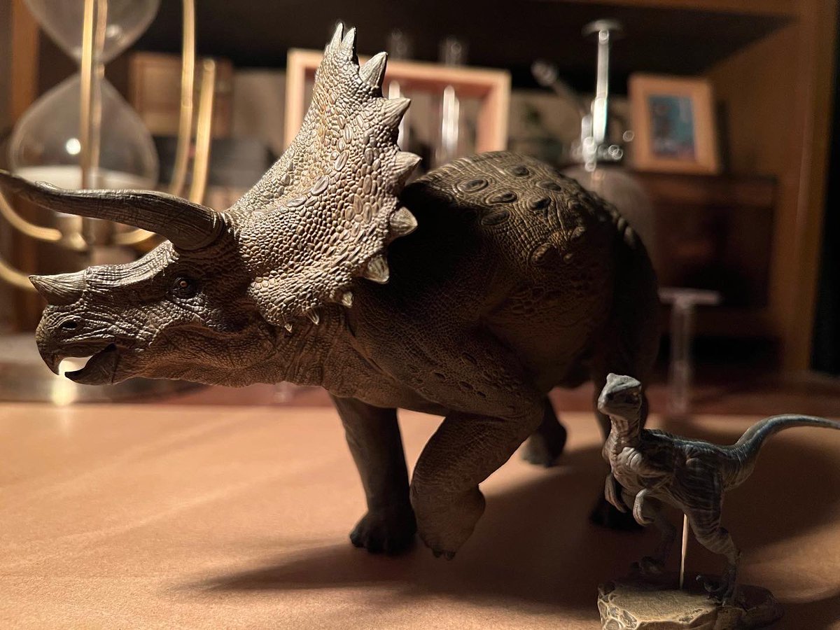 tomokane9030's tweet photo. 猫が恐竜を投稿したっていいじゃないか

#トリケラトプス #ヴェロキラプトル 　#恐竜 #フィギュア #本心楠改 #dinosaur #nanmustudio #triceratops  #velociraptor  #bluejurassicworld https://t.co/AOxg4SFRxv