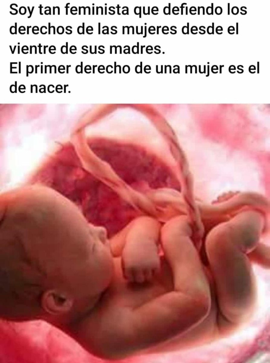 olgacuque's tweet photo. #8Marzo2022 https://t.co/aiP2rGcAOt