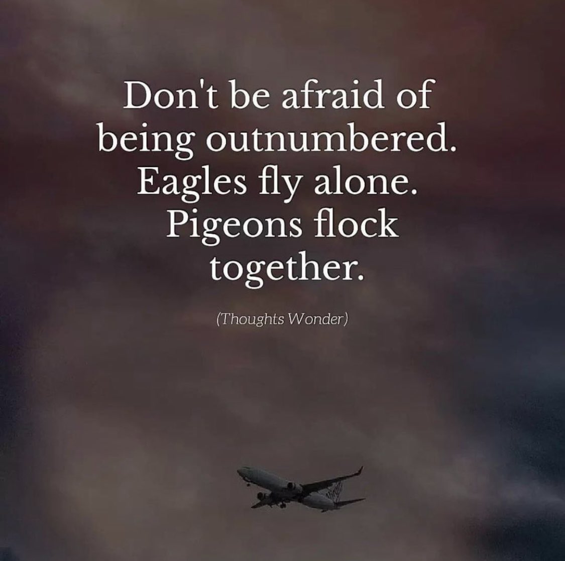 Winnie_Nyy's tweet photo. https://t.co/5qRq1W49c3