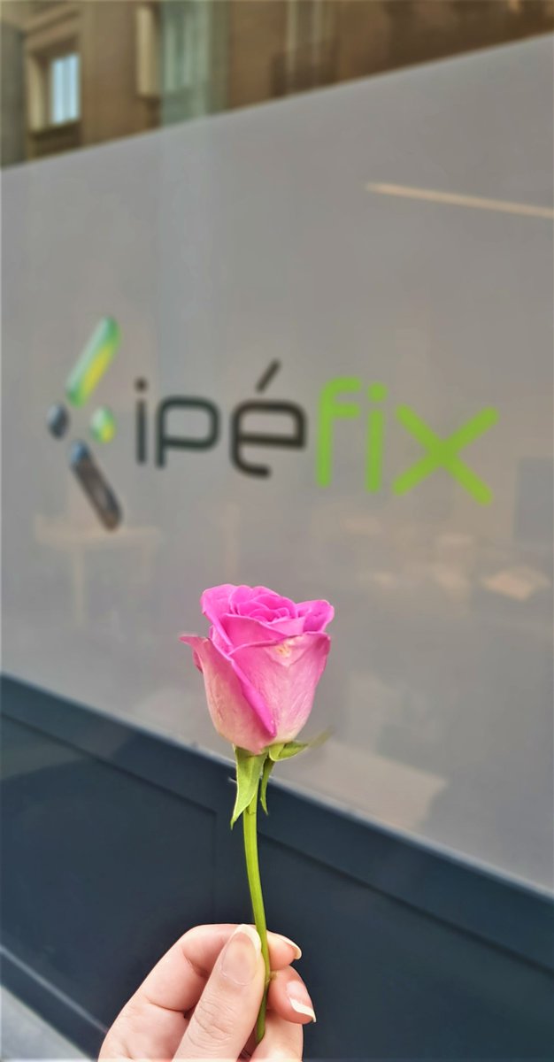 _Ipefix's tweet photo. [ Toutes les #femmes méritent d’être célébrées ! ]

IPEFIX souhaite une excellente journée à toutes les femmes 😊

#IWD2022 #JournéeInternationaledesDroitsdelaFemme #JIDF2022 https://t.co/3BLSg3HvFE