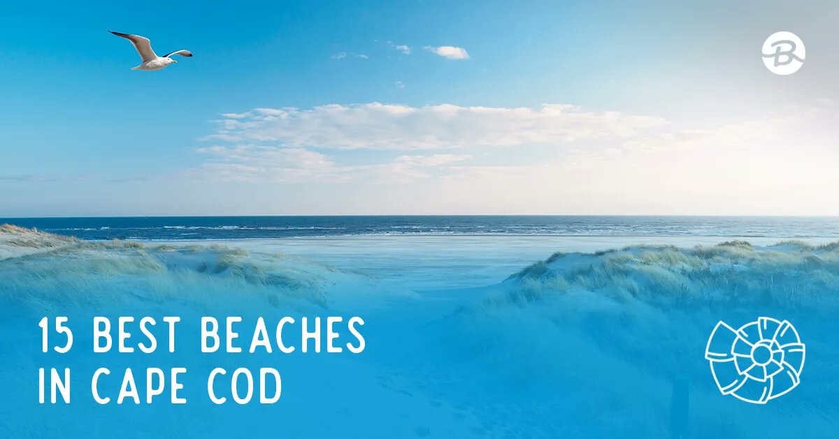 BeachfixMedia's tweet photo. With almost 600 miles of breathtaking coastline, Cape Cod is home to many amazing beaches. In this guide, we'll share the best Cape Cod beaches and answer some common questions about this stunning Massachusetts peninsula.

https://t.co/QiU3yRvxJI https://t.co/hvk15l5lFu
