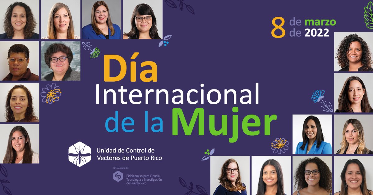 PRVectorControl's tweet photo. En conmemoración del Día Internacional de la Mujer, dedicamos nuestra publicación a todas las mujeres que trabajan día a día en en la Unidad luchando contra el mosquito Aedes aegypti.💪 🚺 
#PRVCU
#JuntoaLaUnidad https://t.co/wLzxKpGIhI