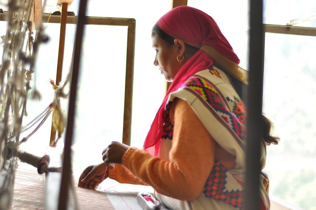 Veo® | shop sustainably tweet media