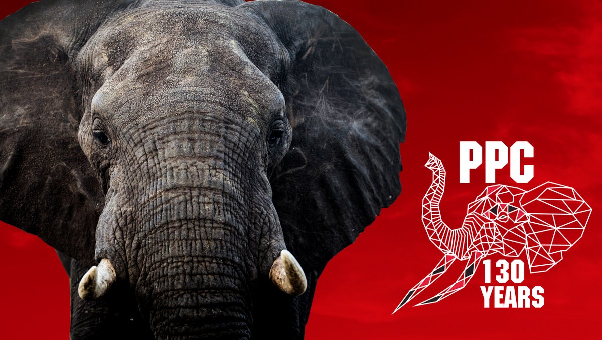 This year, we are celebrating 130 years of PPC’s legacy. 130 years of our collective strength!
To know more about how <a href="/PPC_Africa/">PPC_Africa</a>  has managed to keep its legacy alive and strong, click 👉cutt.ly/EARA4DR and watch this space for "130" goodness💪

#PPCUnsheakable
#Jabali