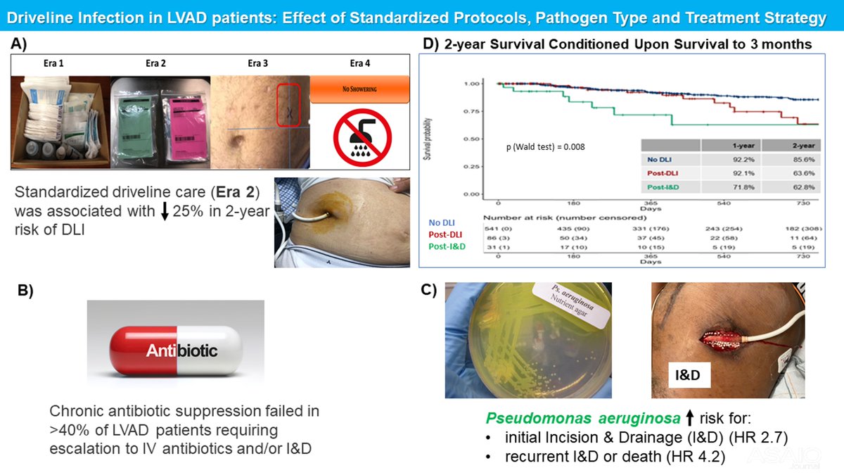 asaiojournal's tweet photo. #OnlineFirst Lumish HS et al Driveline Infection in Left Ventricular Assist Device Patients: Effect of Standardized Protocols, Pathogen Type, and Treatment Strategy
https://t.co/xjx6FqAhEx
@HeidiLumish @ColumbiaCardio @PublicHealthUMN
#LVAD #DrivelineInfection #TreatmentStrategy https://t.co/wL5KTSgXsL