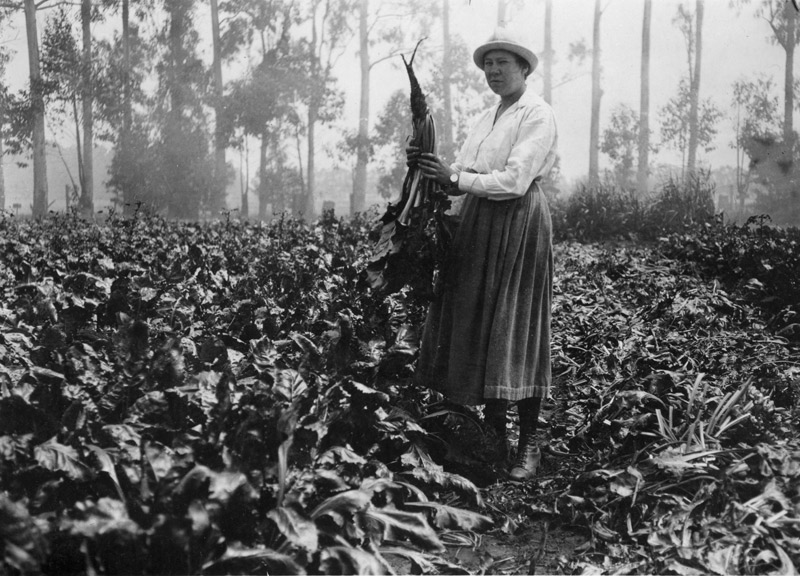 This #InternationalWomensDay, we're celebrating Ukrainian plant scientist, Katherine Esau.
👩🏻‍🔬
As a pioneering plant anatomist, she continued research well into her 90s, publishing a total of 162 articles &amp; 5 books, eventually being awarding the National Medal of Science!
🎖️🌱