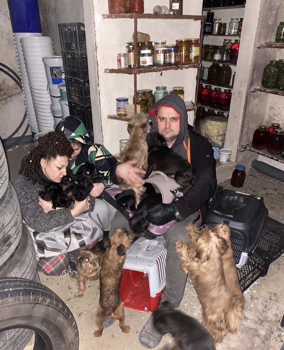 TXBern's tweet photo. @BBCYaldaHakim  Thanks for your excellent reporting. My friends in Kharkiv - in a cellar during the bombings. They are currently trying to escape. #Ukraine https://t.co/l9z04VoCMR