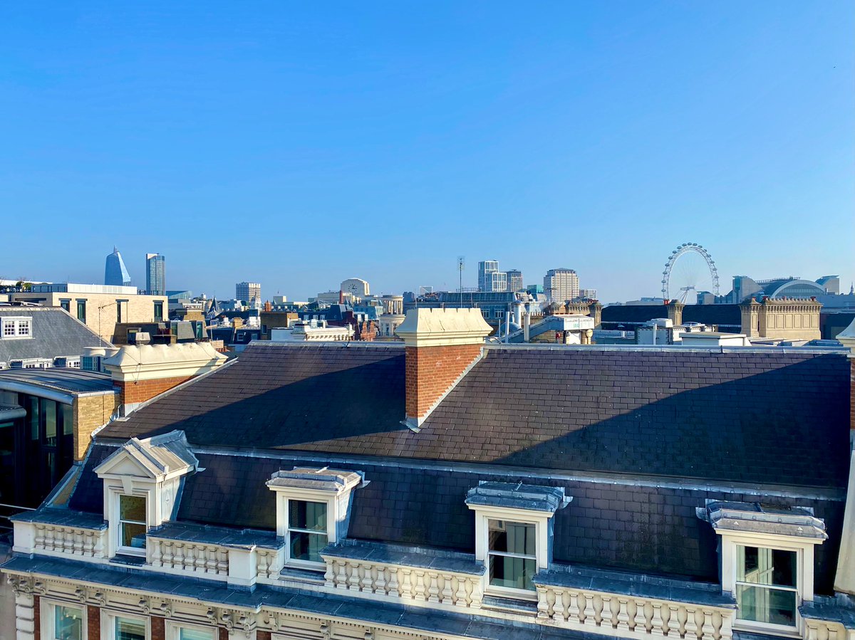 Megan Quinn tweet media