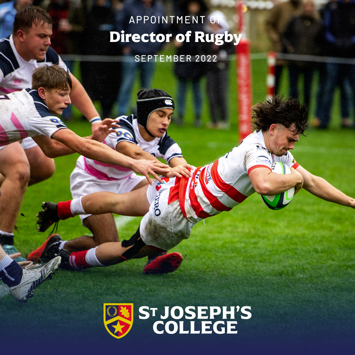Job alert: Director of Rugby at St Joseph's College. The position will have full responsibility for all aspects of the game @MyStJos and its prep school. For more information, a route to application or to see the Job Description, visit jobsinsport.online/job/79/directo… #jobsinsport #jobs