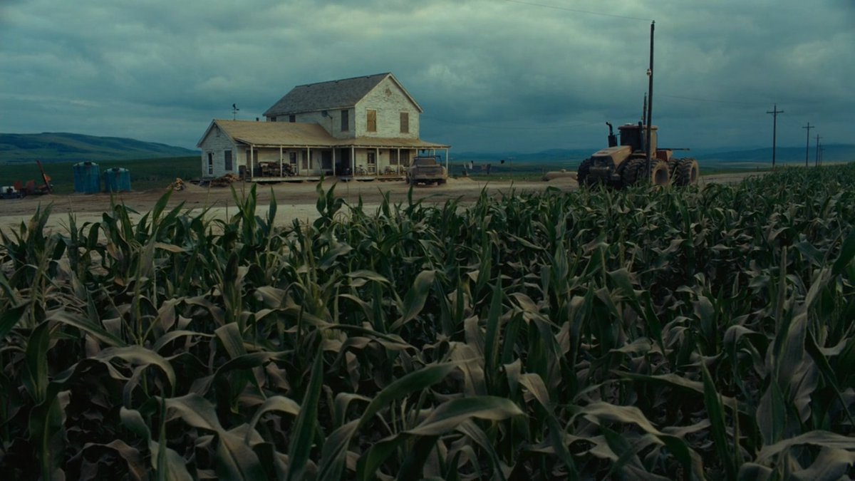 поле ужастик