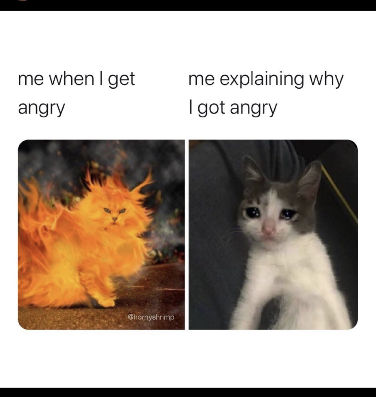 Kristen Live on Twitter: "🔥🥺 https://t.co/Zxo2XlrvQg" / Twitter