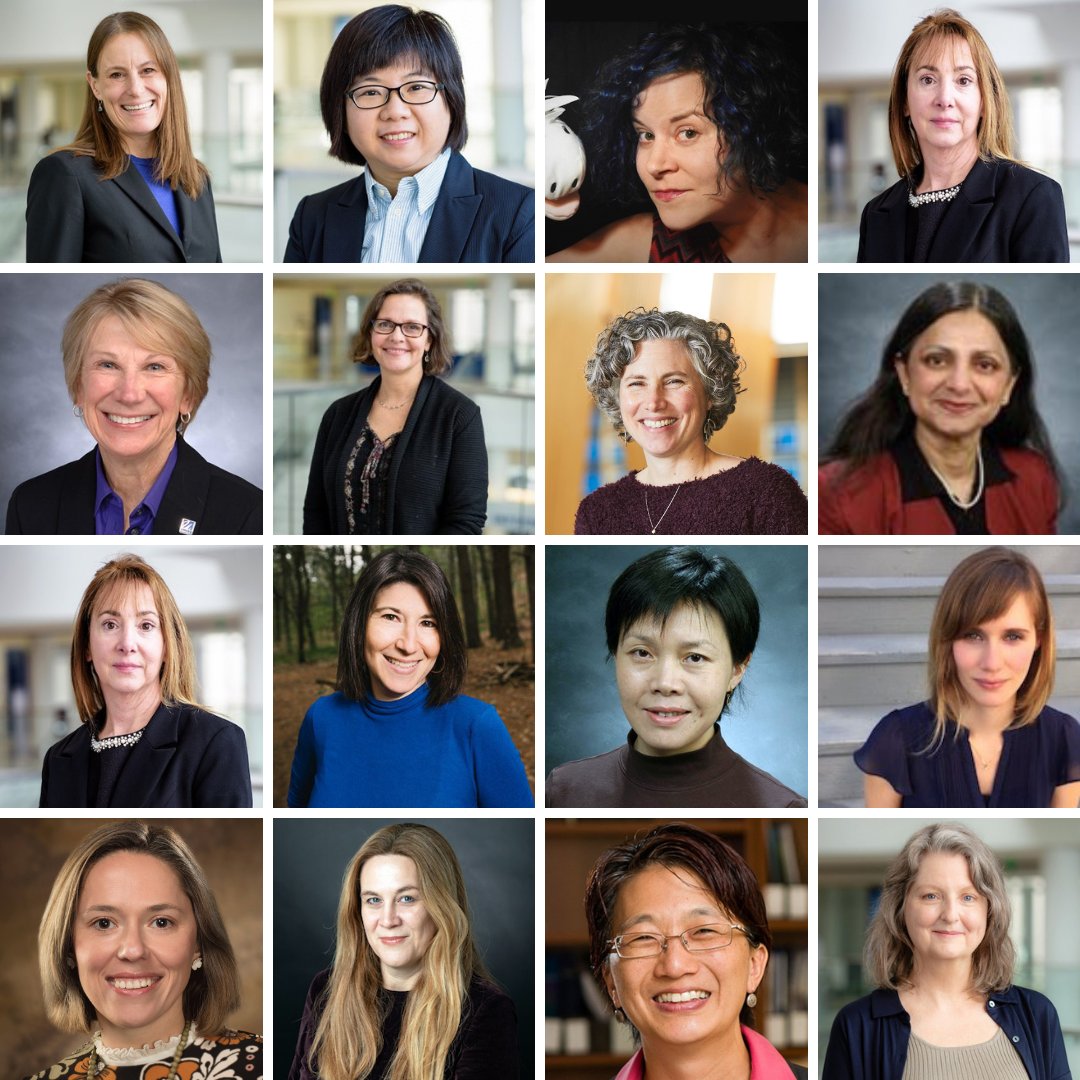 UML Sustainability tweet media