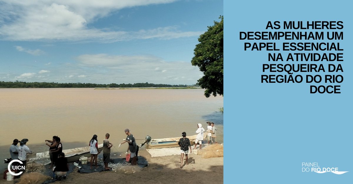Painel do Rio Doce/Rio Doce Panel tweet media
