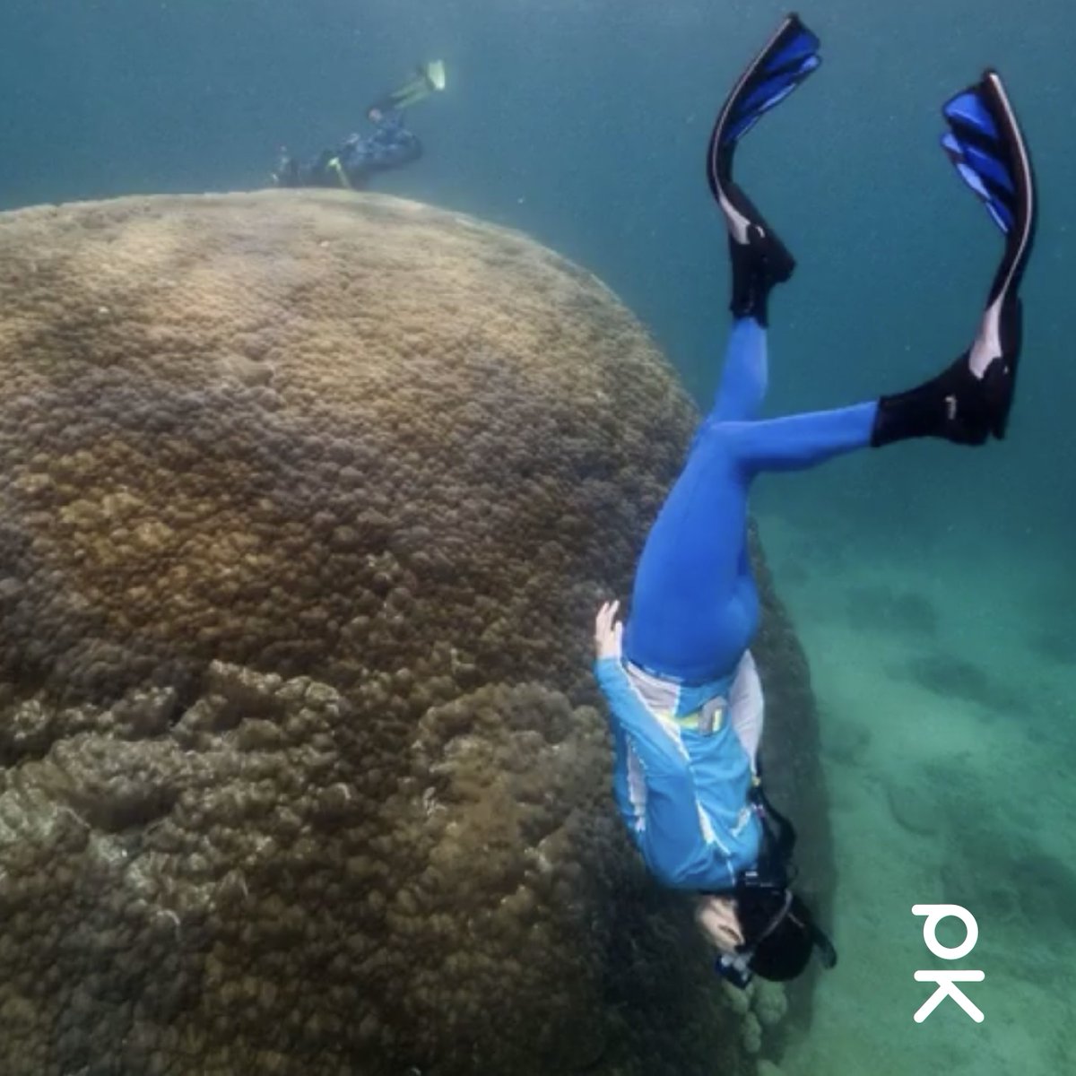 PechaKucha's tweet photo. Staff picks! ❤️

Marine scientist, Rachelle Brown, tells her story about becoming a marine scientist and how she is helping to make a difference in the Great Barrier Reef. 

Watch her full PK here: https://t.co/mP0A3ef5N3

Happy #InternationalWomensDay! https://t.co/41gvPfDpKq