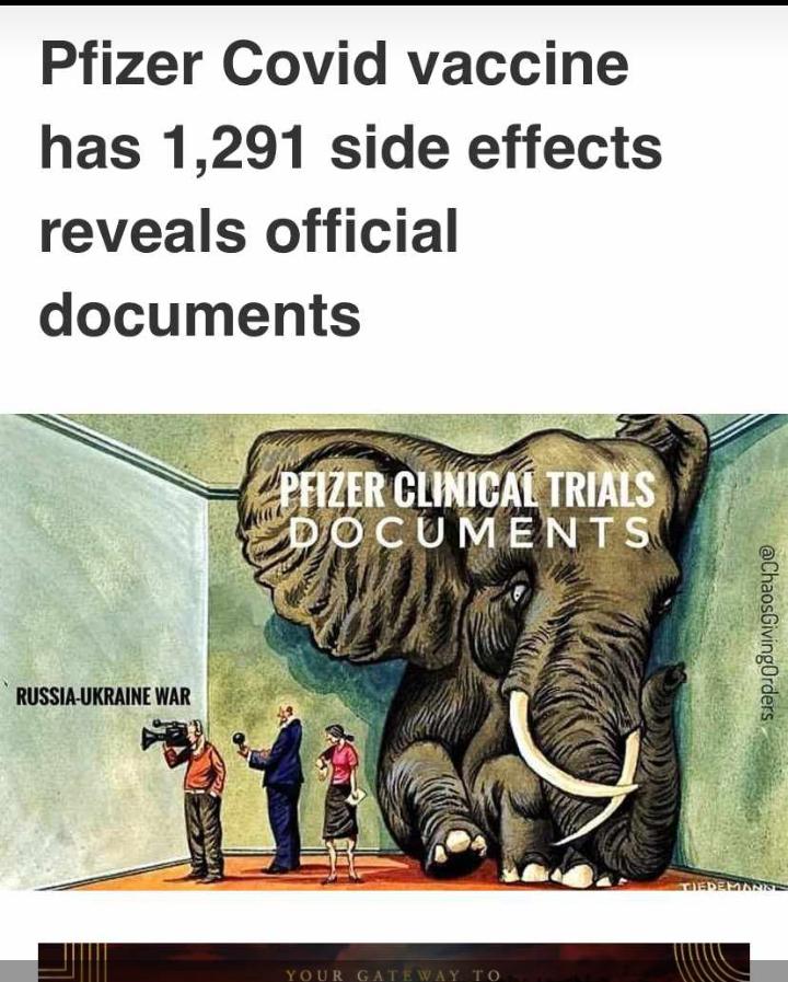 Mqadi99's tweet photo. Forget #UkraineRussianWar there's an elephant 🐘 in the room.

#VaccineSideEffects 
#pfizerdocuments #PfizerReport https://t.co/7GTdaSQeRM