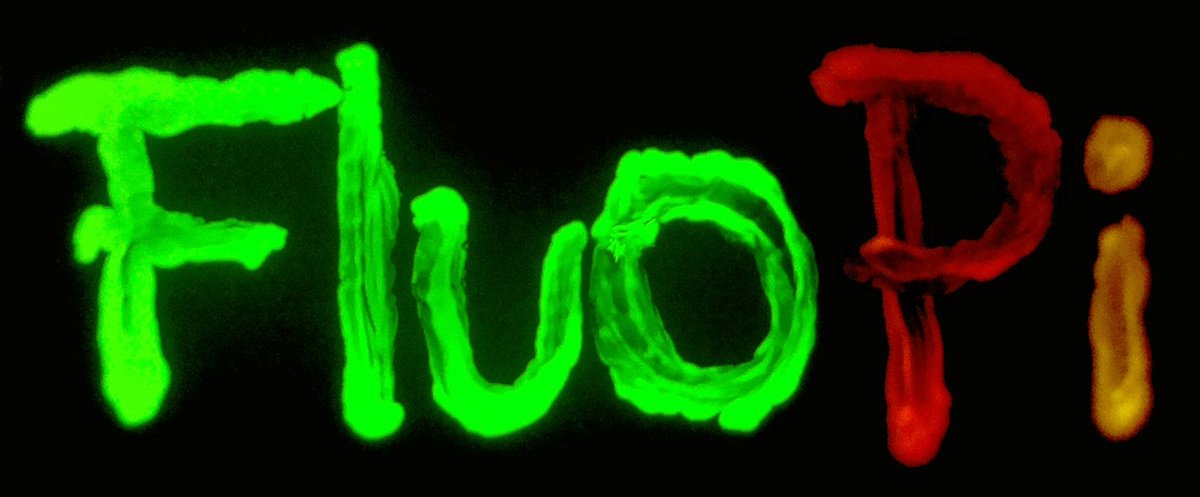 Uchile_GMI's tweet image. (1/n)🧵 FluoPi es un proyecto colaborativo creado por miembros de @ucatolica y @BackyardBrains que busca implementar un sistema de imageneologia de fluorescencia múltiple! GMI decidió construir y adaptar este proyecto a las necesidades del grupo 🧫🔬 #Microscopy #microbiology
