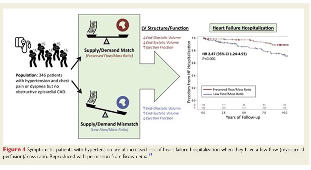 🟢The year in cardiovascular medicine 2021: imaging <a href="/chiarabd/">C Bucciarelli-Ducci</a> <a href="/escardio/">European Society of Cardiology</a> <a href="/ESC_Journals/">European Society of Cardiology Journals</a> <a href="/ehj_ed/">EHJ Editor-in-Chief</a> #amyloidosis #CardioEd #echofirst #whycmr <a href="/mencardio/">Ivan Mendoza</a> <a href="/ernestocardio/">Ernesto Rodríguez H</a> <a href="/CardiologiaSVC/">Sociedad Venezolana de Cardiología</a>