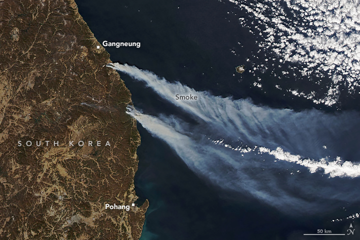 Strong winds and dry weather fueled blazes that raced through coastal areas in South Korea. go.nasa.gov/3MJhc9I