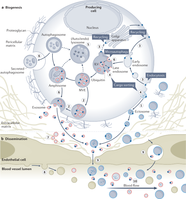 Nature Reviews Molecular Cell Biology tweet media