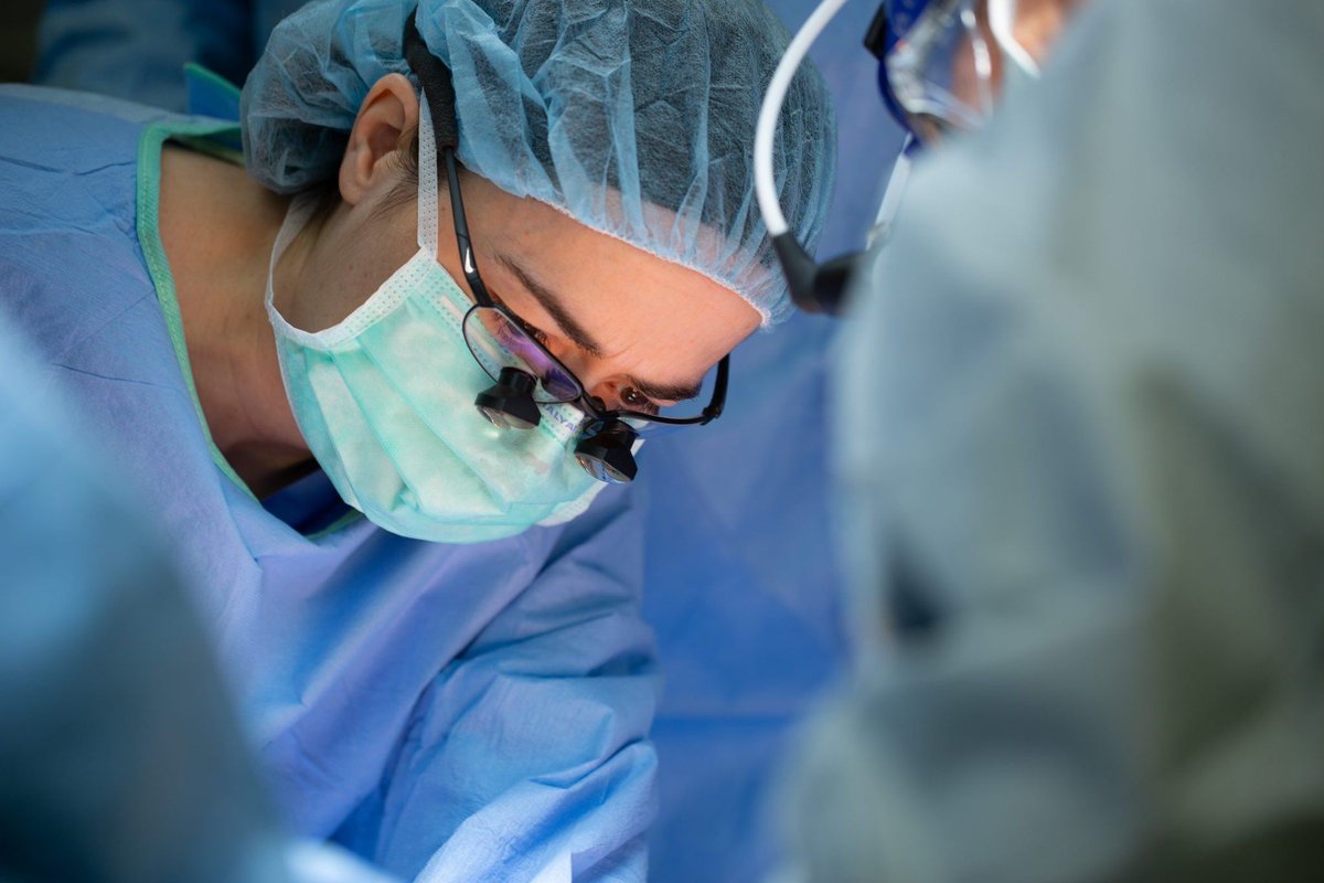 Mayo Clinic Department of Surgery tweet media