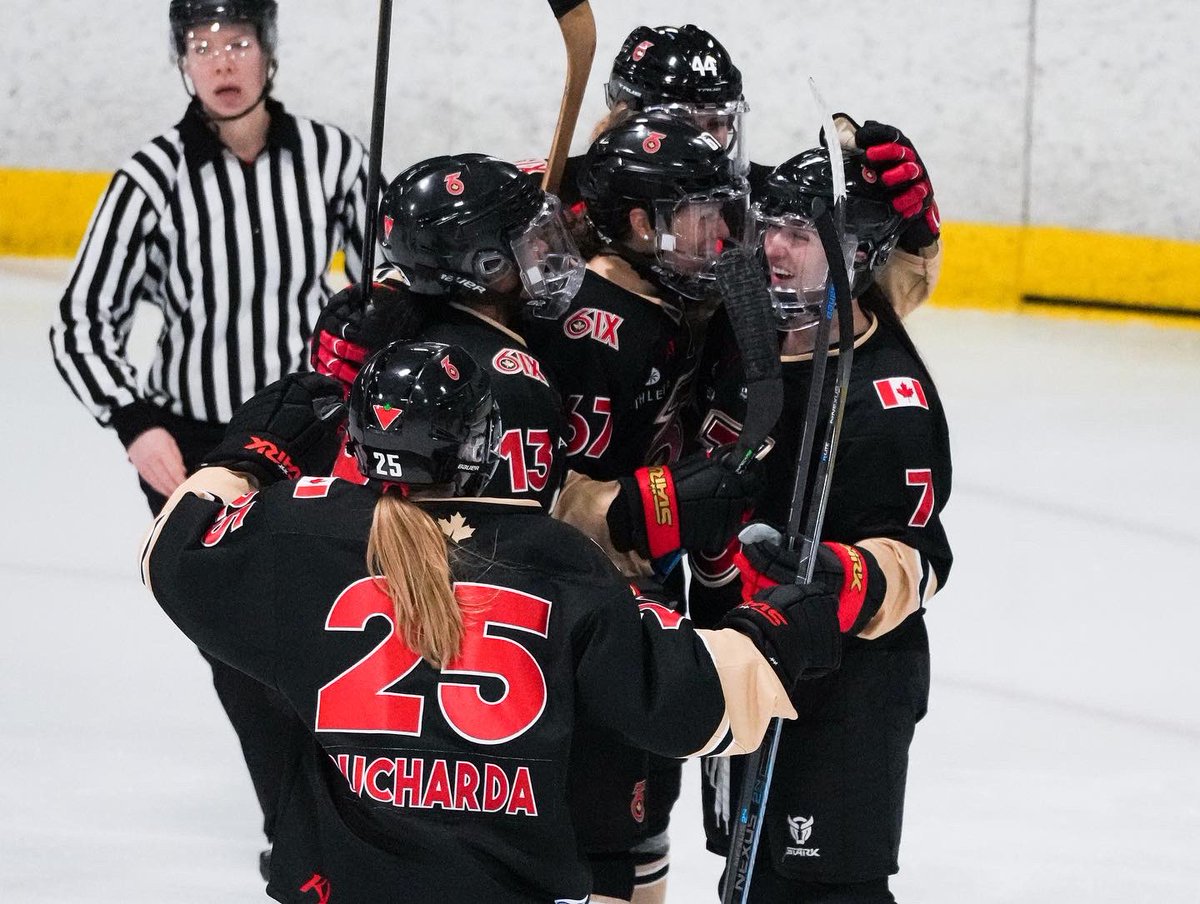 Toronto Six 🏆 tweet media