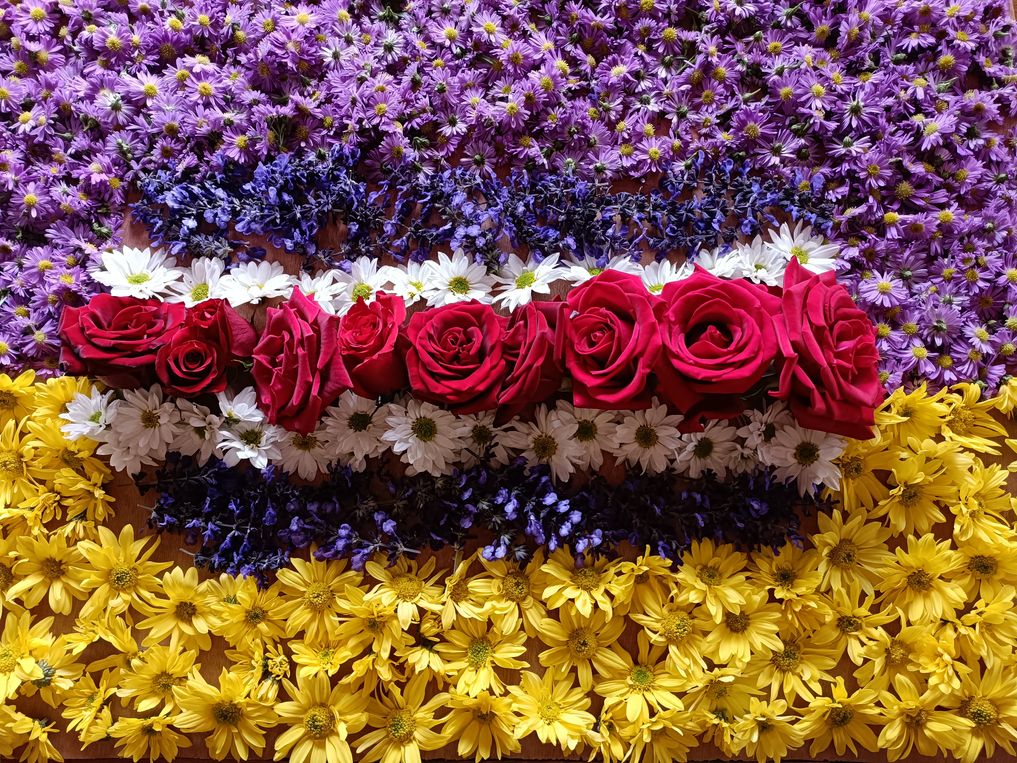 Jungle Talks tweet media