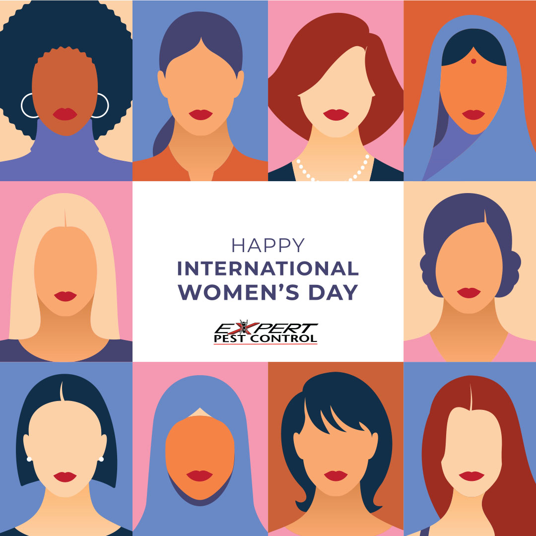 ExpertPestC's tweet photo. Happy International Women's Day. We all know nothing would get done without you. #NationalWomensDay https://t.co/dHtcwumRnk