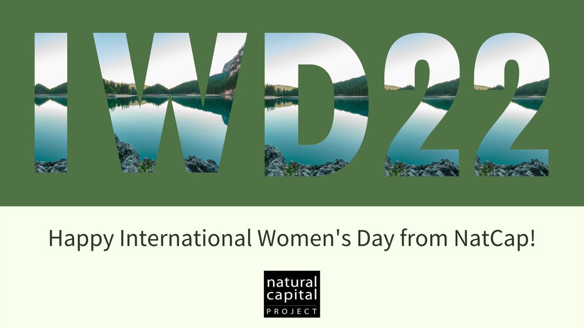 Forest green background, "IWD22" text with image of calm lake and tree-line cropped inside the letters, "Happy International Women's Day from NatCap!" text on bottom half of image, black NatCap logo. 