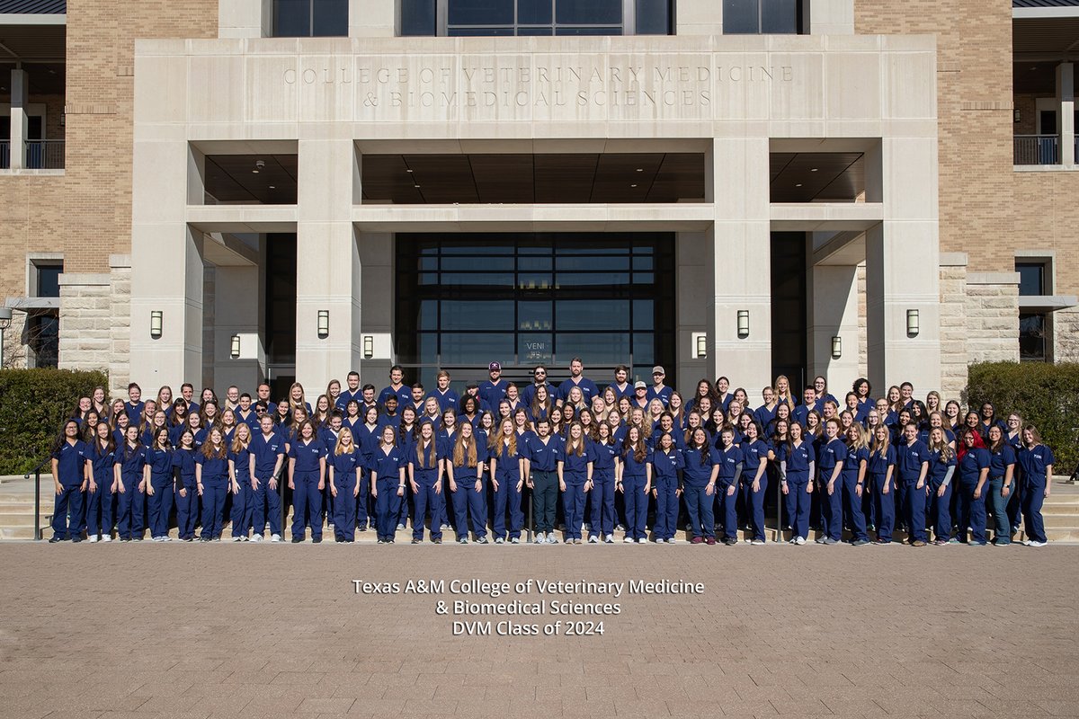 Texas A&M VetMed tweet media