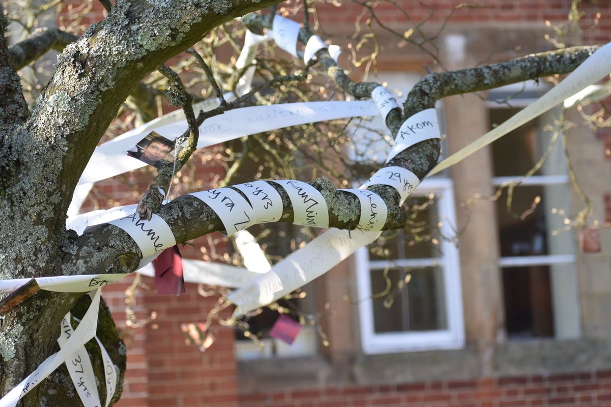 ArdinglyBoarder's tweet photo. On International Women's Day the art department created a vigil tree on the terrace that features the 81 victims of femicide listed in parliament since the death of Sarah Everard. #femicide #IWD22 #ArdinglyIWD #IWD2022 https://t.co/7KGKy7RXpb