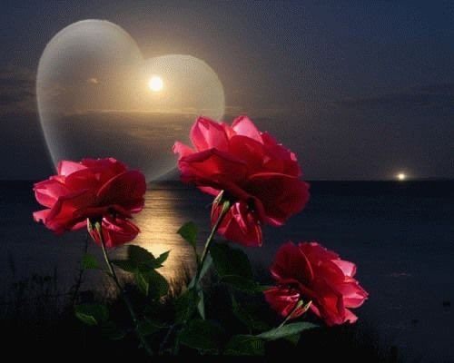 Dios te dió la bendición de haber nacido mujer, Dios puso sabiduría y
En ese corazón de mujer mucho secretos, sentimientos y tesoros.te
Dió fortaleza en el alma, ternura,
Sensibilidad y amor.
Dios las bendiga siempre 🙏
Feliz día de la mujer 💘 besos y bendiciones #poeta 💘😍