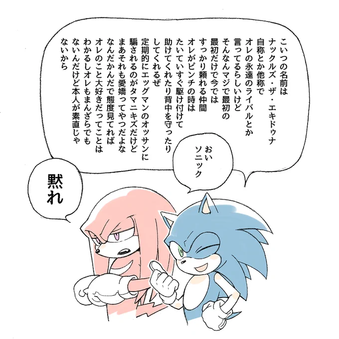 ソニナコ 