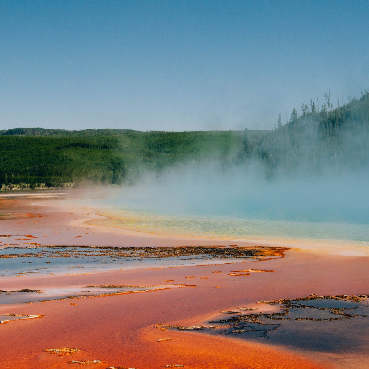 If you're still looking for a spring break destination for the family, nothing can beat the majestic atmosphere of Yellowstone National Park.   #NorthYellowstoneCabins #Yellowstone #NationalPark #Gardiner #VisitYellowstone