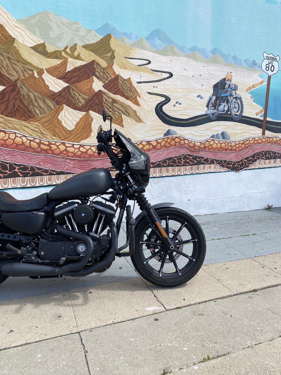 RaccoonKingMoto's tweet photo. Going anywhere fun this week? Ride safe! #RideEveryDay #TheRaccoonKing #HarleyDavidson #Sportster #883 https://t.co/WsnyaXsSL4