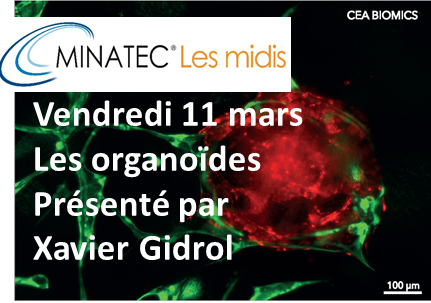 Ce vendredi 11 mars c'est #MidiMINATEC <a href="/MINATEC/">MINATEC</a> avec <a href="/GidrolXavier/">Xavier Gidrol</a> <a href="/IRIG_Grenoble/">IRIG</a> <a href="/cea_grenoble/">CEA Grenoble</a> <a href="/GIANTcampus/">GIANT Innovation Campus</a> qui nous parlera des #organoïdes 
Nous serons ravis de vous accueillir <a href="/MINATEC/">MINATEC</a> 🤓!
Inscriptions : minatec.org/midis