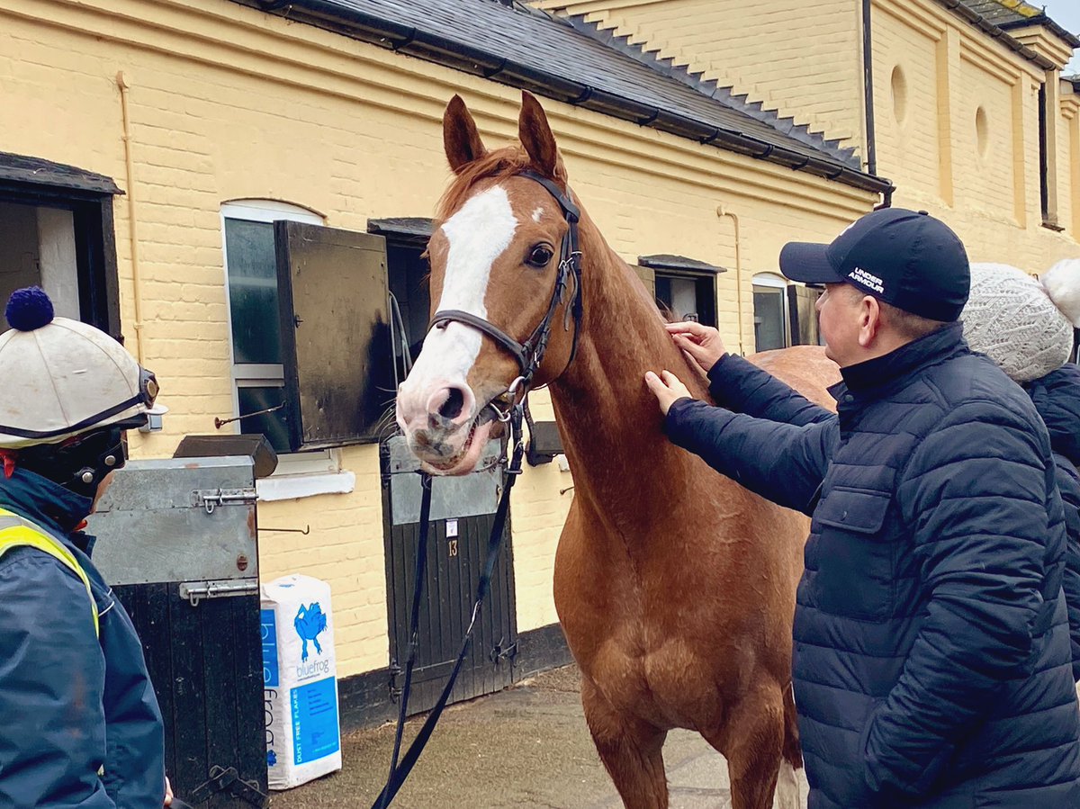 NewmarketClub's tweet photo. Happy Birthday Balgair 🎂⁣
⁣
It is our very much adored chestnut's birthday today - here he is enjoying some well deserved attention from Owners last week...⁣
⁣
#Balgair #NewmarketRacingClub #TomCloverRacing https://t.co/GKbkwO5WK5