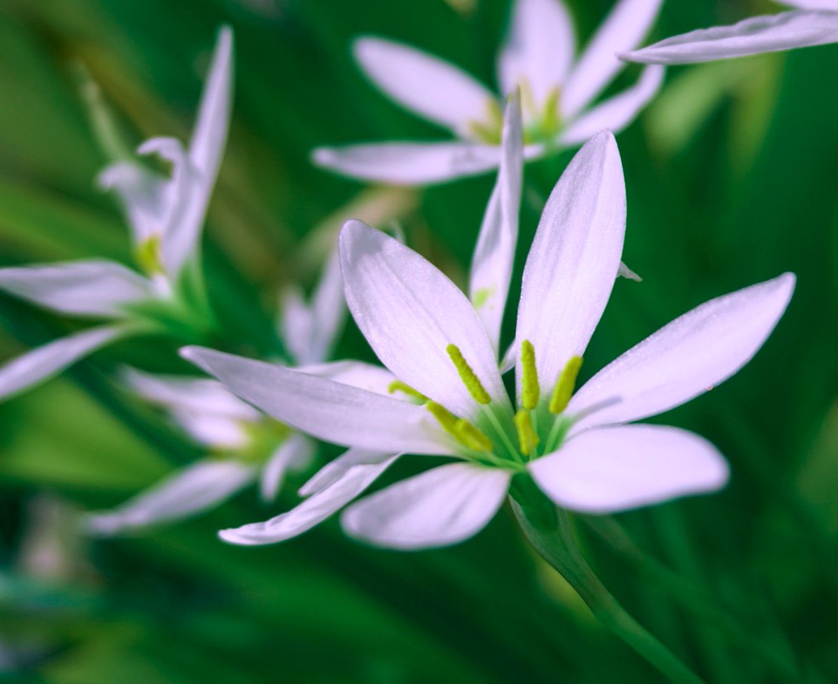 Happy Women's Day!🌹
Congratulations to all beautiful women on International Women's Day March 8