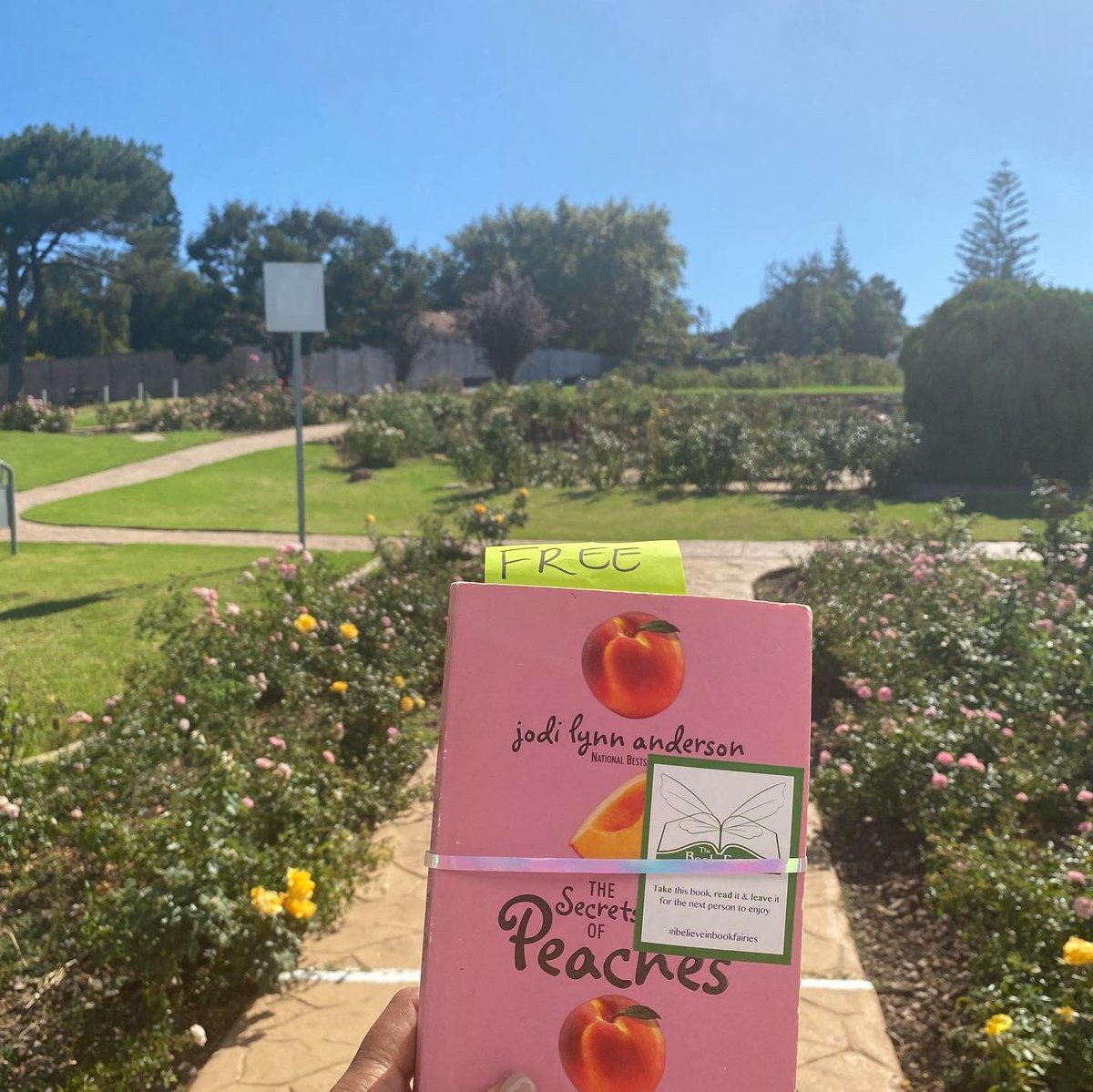 Hip Hip Hooray 🎉🎂🎈🧚🏾

The Book Fairies are 5 Today‼️

In celebration A Capetown Mini Bookfairy and Bookfairy have been leaving some magic all around the Northern Suburbs today. #BookFairiesTurn5

#IBelieveInBookFairies 
#BookFairyBirthday