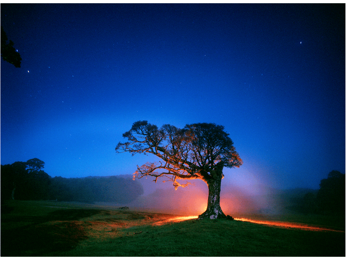 RELEASE OF ENERGY, NEW ZEALAND
by André Wagner 
How can a single photograph be so fascinating? It is the harmonious coexistence of heaven and earth, united in an infinite moment of eternity.
#skyhunter #NewZealand #release #EnergyIndependence #flow