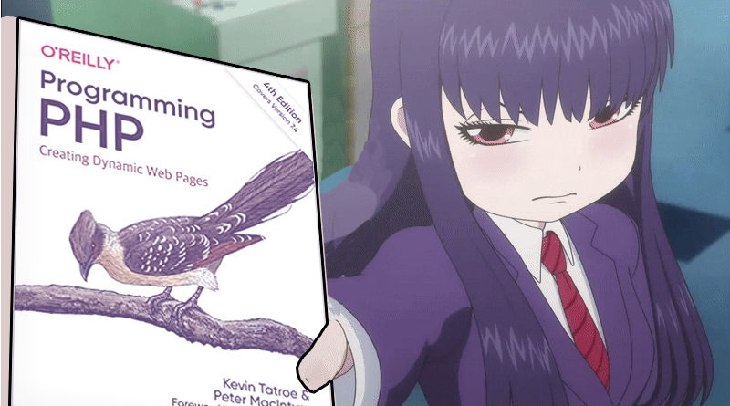 every day an anime girl holding programming books (@AnimeGirlDev) / X