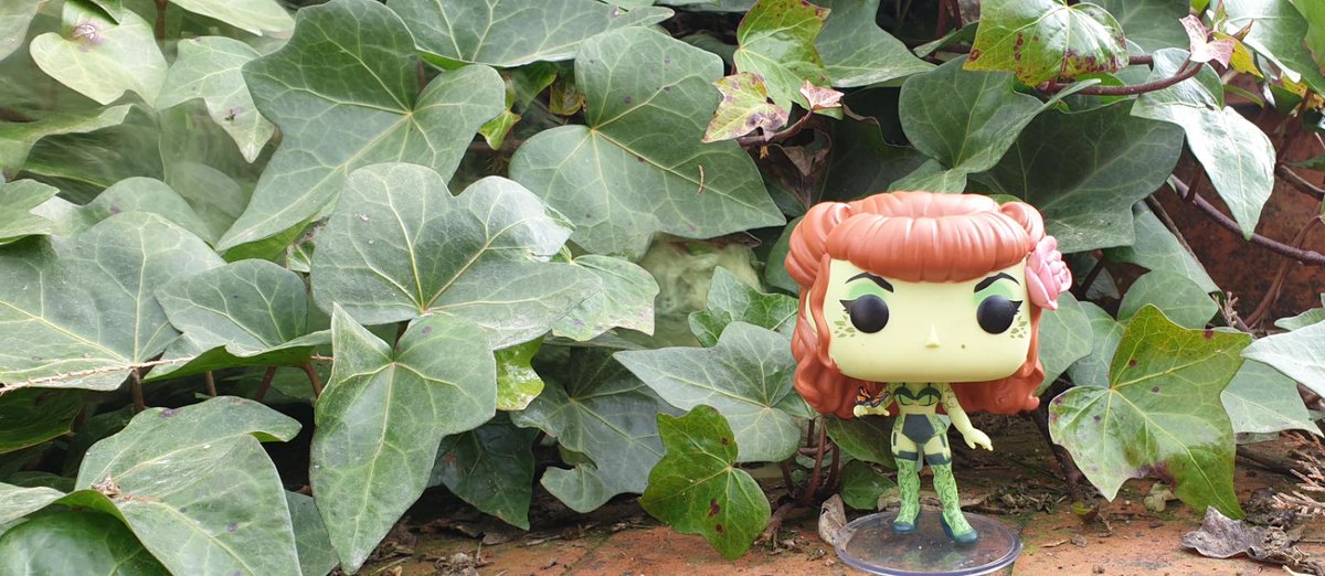 DjFunkopop's tweet image. Ambos nos esforzamos por ver a los malhechores castigados. Pero mientras tú tienes tu galería de pícaros, yo tengo mi arboleda. #funkopoppoisonivy #FunkoPop #Funko