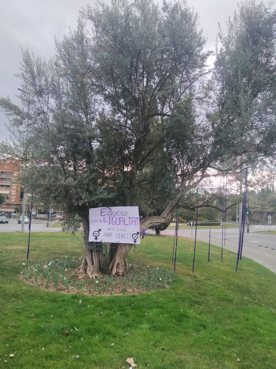 EscAbatMarcet's tweet photo. Educar per a la Igualtat. Dia de la Dona Treballadora @ampaabatmarcet #8M #donatreballadora #AFA #escolapública https://t.co/9bReSCorc5
