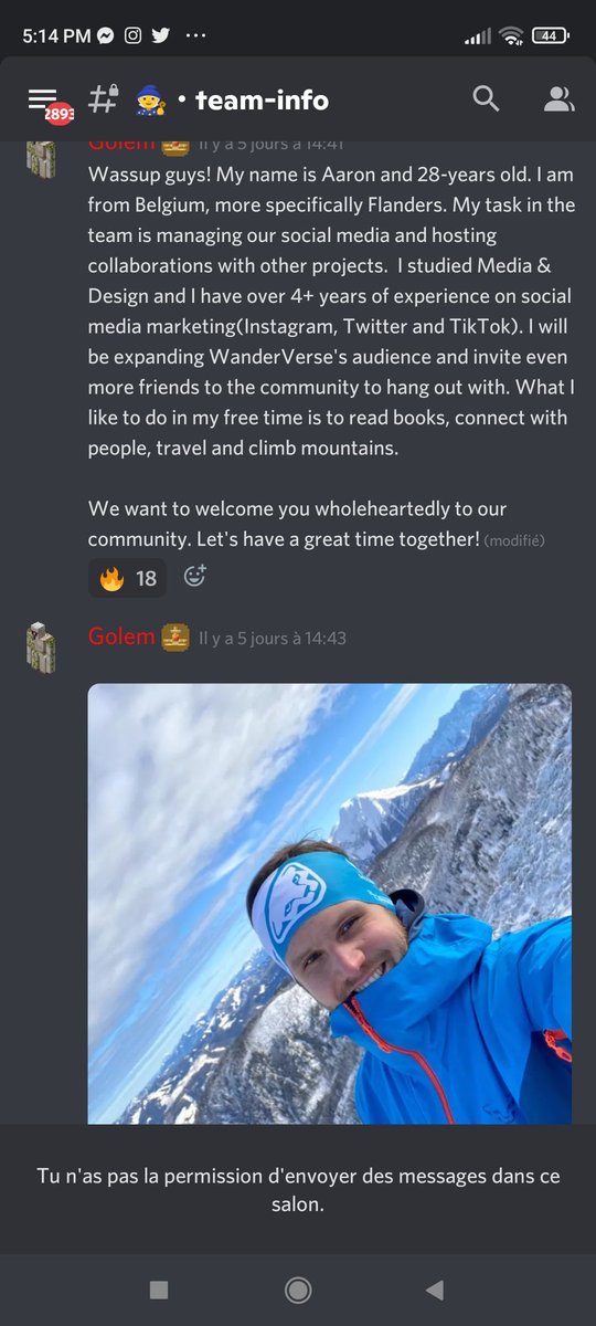 BriacNft's tweet photo. @Syndicate @SynthriaMMO I can't be sure that the real peoples scamming but that was the name writes on our discord. I just bought two of them and lost 375$. I'm not really expecting my money back just us to be caught https://t.co/g068qGzIqF