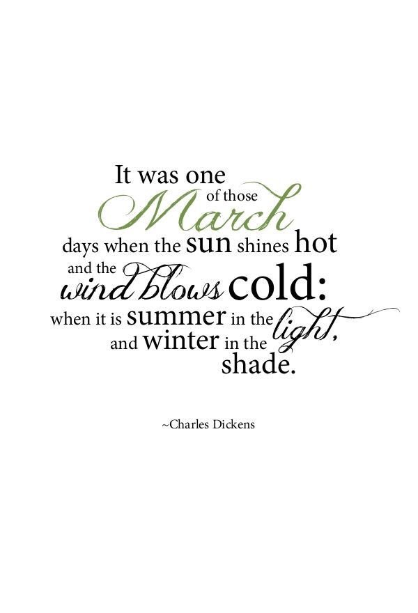 Perfectly said! ❤️ #tlbookshopva #indiebookstore #midlothianva #shopsmall #shoplocal