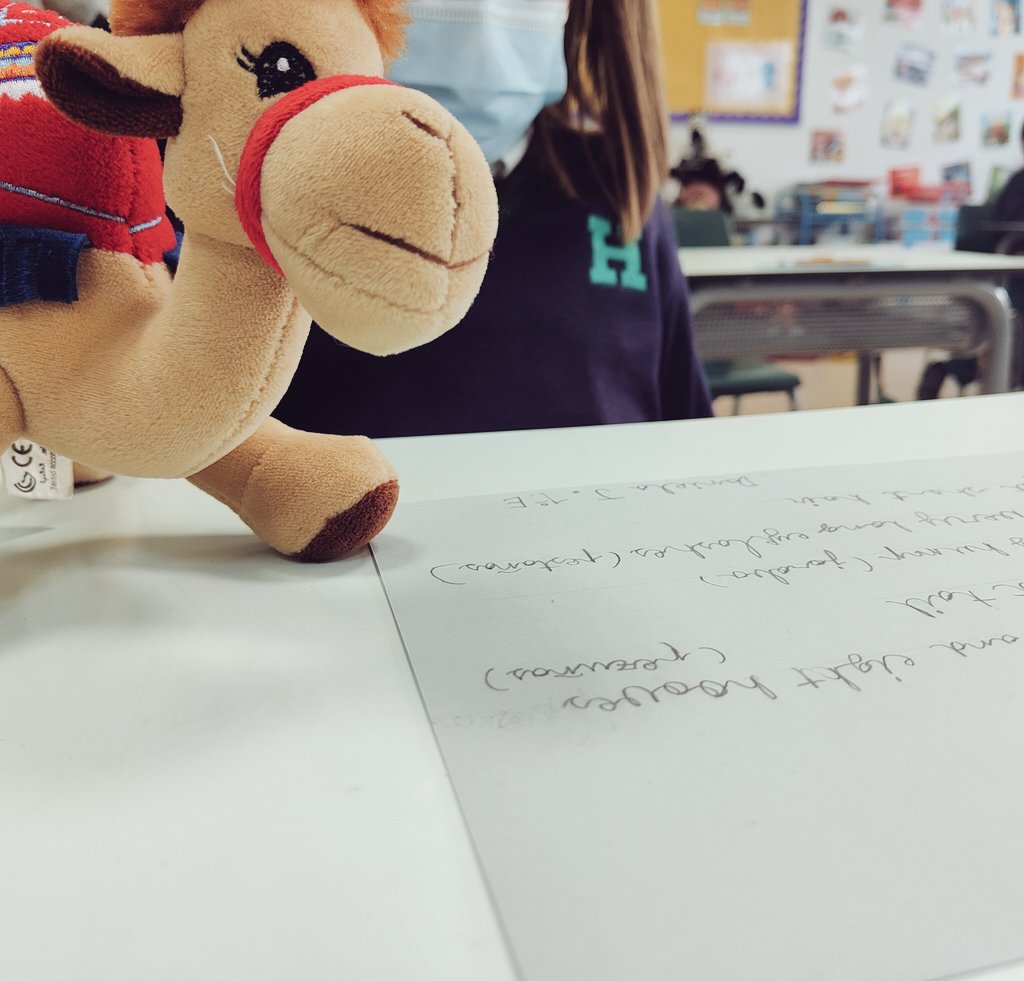 teacherOa's tweet photo. Grab a seat and let's talk! It was quite interesting to find out who these little guys were. My students play with them, sleep with them, talk to them. All in one, appreciating the little things in life.@HBSTORREJON https://t.co/SdnKce7ZkU